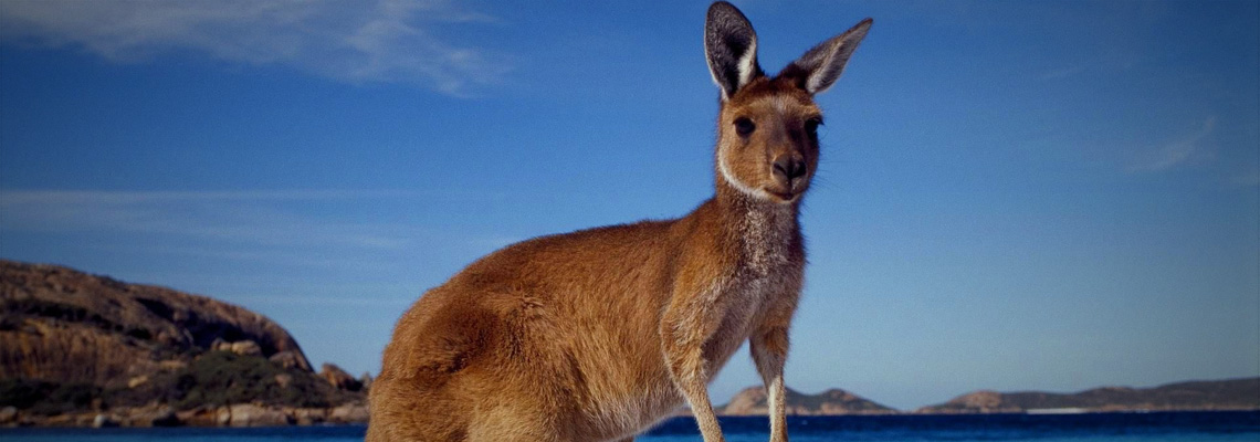 Hoping To Advance Australia Fair